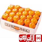  подарок по случаю конца года 2025 подарок фрукты . фрукты прямая поставка от производителя Shizuoka префектура производство три штук день мандарин 4kg(85154)