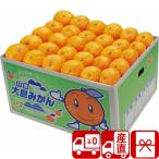  подарок по случаю конца года 2025 подарок фрукты . фрукты прямая поставка от производителя Yamaguchi Ooshima мандарин превосходящий (85156)