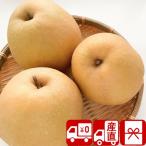  подарок по случаю конца года подарок 2025 фрукты фрукты . внутри праздник . прямая поставка от производителя Tottori префектура производство . осень груша 3.5kg(85161)