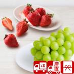  подарок по случаю конца года подарок 2025 фрукты . фрукты прямая поставка от производителя автомобиль in мускат . клубника (85165)