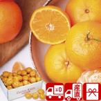  подарок по случаю конца года 2025 подарок прямая поставка от производителя фрукты . фрукты подарок комплект Daiwa .. Wakayama префектура производство Arita мандарин (V6006559T)