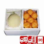  подарок по случаю конца года подарок 2025 прямая поставка от производителя фрукты . фрукты подарок комплект Daiwa .. дыня & мандарин ...(V6005527T)