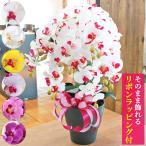 造花 常滑産陶製鉢に入った気品あふれるシルクフラワーの胡蝶蘭の鉢植え 7本立 お祝い 母の日 ギフト 開店祝い 敬老の日 CT触媒 光触媒 就任 昇進 栄転