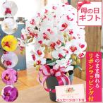 母の日ギフト 胡蝶蘭 造花 常滑産陶製鉢に入った気品あふれるシルクフラワーの胡蝶蘭の鉢植え 7本立 お祝い ギフト 常滑産陶製 鉢 CT触媒 光触媒