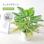  декоративное растение искусственный цветок поддельный маленький ... монстера. Nankoku способ . растение в горшке 30cm CT катализатор человеческий труд декоративное растение искусственная зелень mgr