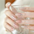 DANNI＆TONI ジェルネイルシール ヌード フレンチ ネイルシール 硬化タイプ 手用 ネイルシール ネイル シール ジェルネイルキット