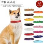 【3点以上送料無料】ペット用首輪 犬 いぬ 猫 ねこ ペット 首輪 ペット用品 レザー シンプル チョーカー かわいい首輪 超軽量 誕生日用 プレゼント お出かけ