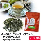 紅茶 茶葉 ダージリン ファーストフラッシュ 2024年 サマビオン茶園 Spring Blossom 40g
