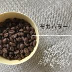 コーヒー豆 モカハラー 100g 自家焙煎焙煎珈琲豆 モカ