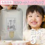 お米 5kg 白米 うるち米 令和元年産ミルキークイーン50%ブレンド