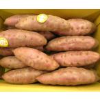  Kanazawa .. остров золотой час батат превосходящий M размер 5kg 1 коробка 