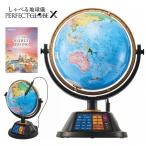 DOSHISHA PG-X23B 地球儀 PERFECT GLOBE X パーフェクトグローブ テン X 日本製 地図 ドウシシャ (14)