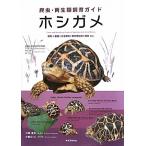 ホシガメ 飼育+繁殖+生息環境+愛好
