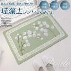  диатомит коврик для ванной soft 40×60cm ванна коврик 50×80cm soft пара .. коврик скорость . non-as лучший . вода скорость . мягкий туалет коврик ванна коврик 