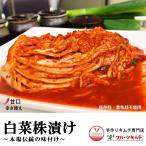  китайская капуста кимчи АО ..pogi500g.. запись . ручная работа кимчи специализированный магазин фрукты кимчи свежий отправка день . производство готовый 