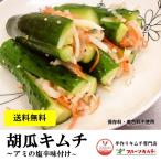 .. кимчи 10 знак type 1kg.. нет кимчи ami. соль ... бесплатная доставка пробный 1 шт ограничение ручная работа кимчи специализированный магазин фрукты кимчи oi кимчи огурец кимчи 