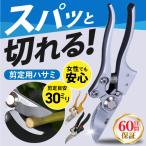 剪定はさみ 剪定鋏 剪定ばさみ バネ 強力 庭木 ガーデニング 園芸 枝切り 手入れ 家庭菜園 造園