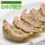 Yahoo! Yahoo!ショッピング(ヤフー ショッピング)（お得な120個） 安曇野わさび餃子 40個入×3セット 信州 安曇野産わさび使用 信州 グルメ ご当地 お取り寄せ 冷凍餃子