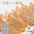 大豆ミート 餃子 120個入り(20個入り×6パック) 大豆たんぱく の ギョーザ お肉不使用 動物性原料不使用 ベジタリアン ビーガン マクロビ