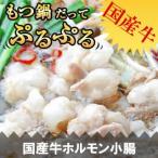 牛ホルモン 小腸 200g もつ鍋 / 焼肉 国産牛 国産 焼肉 バーベキュー