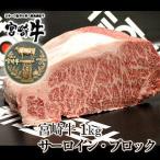 宮崎牛サーロインブロック1kg【ブロック肉 かたまり】【国産 宮崎県産】