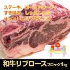 牛肉 和牛 リブロース ブロック1kg ステーキに！ 焼肉 バーベキューにも！ 国産 九州産 牛肉 ブロック BBQ