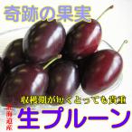  ценный Hokkaido производство сырой . еда .. чернослив 2kg