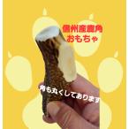 信州産鹿角　噛み噛み