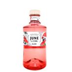 ジューン スイカ (by G VINE) 37.5度 700ml 正規