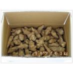 4月下旬 雪解け春収穫 生菊芋（キクイモ）３ｋｇ　チルド便送料込み