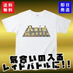 ポケモンＧＯ　Ｔシャツ　レイドバトル２　カットソー　半袖