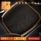 シートヒーター 車 ホットカーペット 電気マット ホットマット 加熱パッド 3段階 発熱マット  足元 座布団 usb ミニ電気カーペット 一人用 寒さ対策