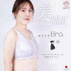 和装ブラ日本製胸を小さく見せるブラ...