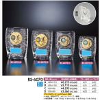 RS-6070-D. bronze награждение каждый собрание для правый проверка пункт .. размер модификация, Mark .. запись пожалуйста. все обычная цена. 30%OFF