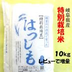 令和５年産 特別栽培米 岐阜県産 ハツシモ 白米10Kg（分搗き可）レビューで増量 【送料無料】北海道・沖縄・離島は追加送料