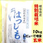 令和５年産 特別栽培米 岐阜県産 ハツシモ 玄米10Kg（レビューで増量） 【送料無料】北海道・沖縄・離島は追加送料