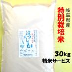 令和７年産 特別栽培米 岐阜県産 ハツシモ 玄米30Kg（10kg×3）分搗き可 【送料無料】北海道 沖縄 離島は追加送料