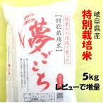 令和５年産岐阜県産夢ごこち白米5K...