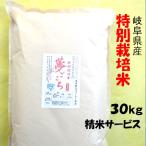 令和５年産特別栽培米岐阜県産夢ごこ...