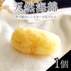 HOKUTO 海綿 ジップロック袋付き 天然 海綿 スポンジ 女性用