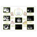  ультразвук фотография альбом ... value младенец. eko - фотография принт сервис мужчина девочка 