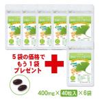 DHA EPA イチョウ葉プラス40粒入×6袋