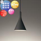 照明 おしゃれ  オーデリック ODELIC   ペンダントライト  ダクトレール用 OP273029LR 電球色 OP273029WR 温白色 OP273029NR 昼白色 鋼 ブラック 高演色LE爆買