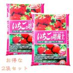 ショッピングプランター いちご　甘い　プランター栽培　いちごの培養土　25L×2　2個セット