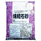 . pumice sand middle bead 3L