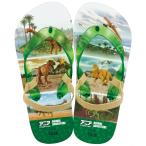 ショッピングビーチサンダル キッズ ビーチサンダル キッズ 18cm 子供 キャラクター サンダル 夏用 痛くない skater スケーター SDBE18 23年 アニア アニマル アドベンチャー 恐竜 男の子