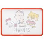 抗菌 両面 ガード付き まな板 食洗機対応 おしゃれ プラスチック キャラクター skater スケーター KTMT1AG スヌーピー SNOOPY ピーナッツ 女性 レディース