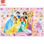 レジャーシート ピクニックシート 子供 遠足 コンパクト 一人用 こども 薄手 skater スケーター VS1 ディズニー プリンセス 24年 女の子 女子