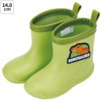 ske-ta- нашивка имеется влагостойкая обувь сапоги Kids ребенок 14cm модный симпатичный skater RIBTW14tinosaurus динозавр Dinosaur мужчина мужчина .