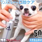 ペットクール ブレスケア 60ml | チワワ 犬 歯磨き 小型犬 歯 はみがき ハミガキ デンタルケア 歯磨きスプレー